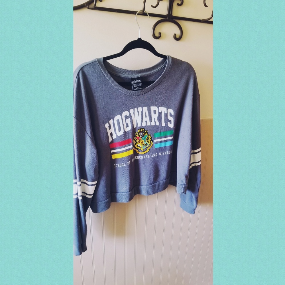 Hogwarts Crop Top
